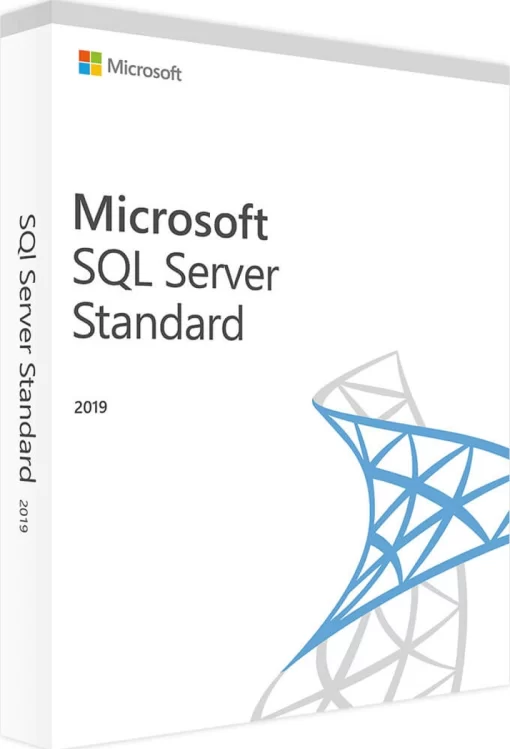 Microsoft SQL Server Standard 2019 για 1 Χρήστη