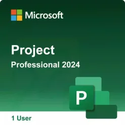 Project Professional 2024