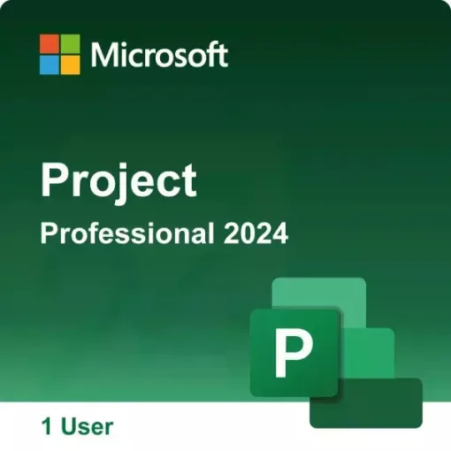 Project Professional 2024